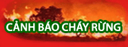 CẢNH BÁO CHÁY RỪNG