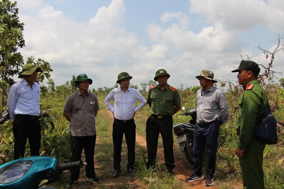 Số vụ phá rừng, vận chuyển gỗ ở Đắk Lắk giảm