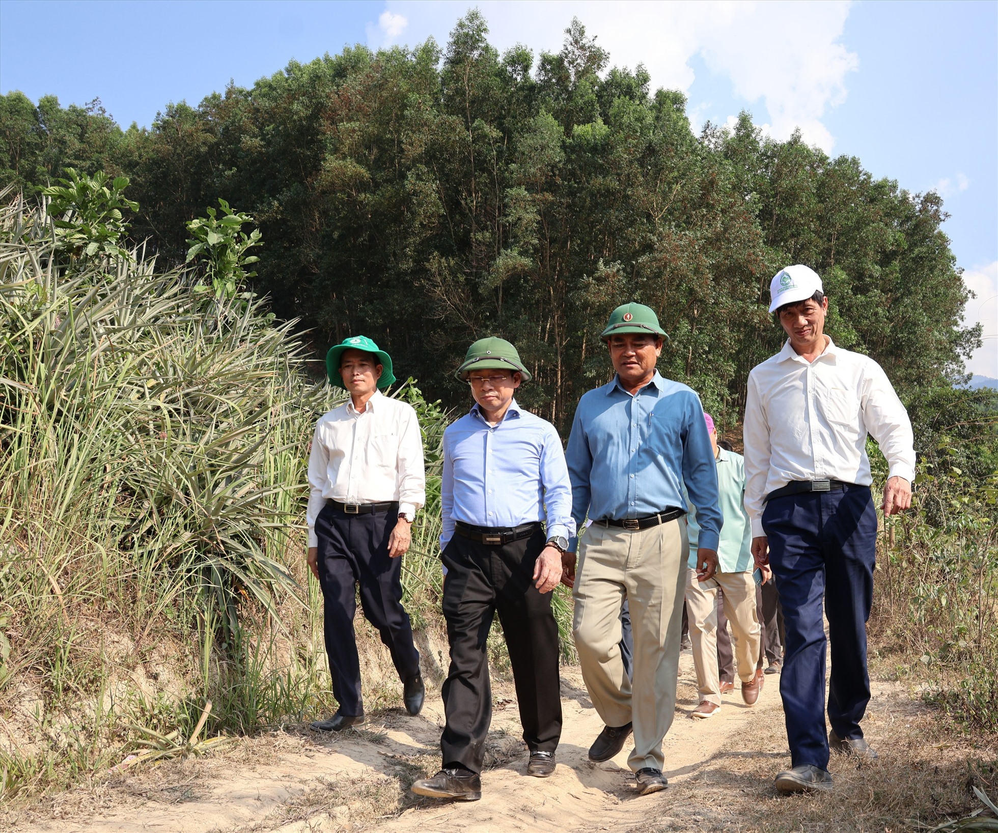 Khó khăn bủa vây công tác giữ rừng ở Đắk Lắk