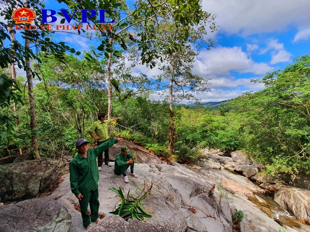 Tết của những “người rừng”