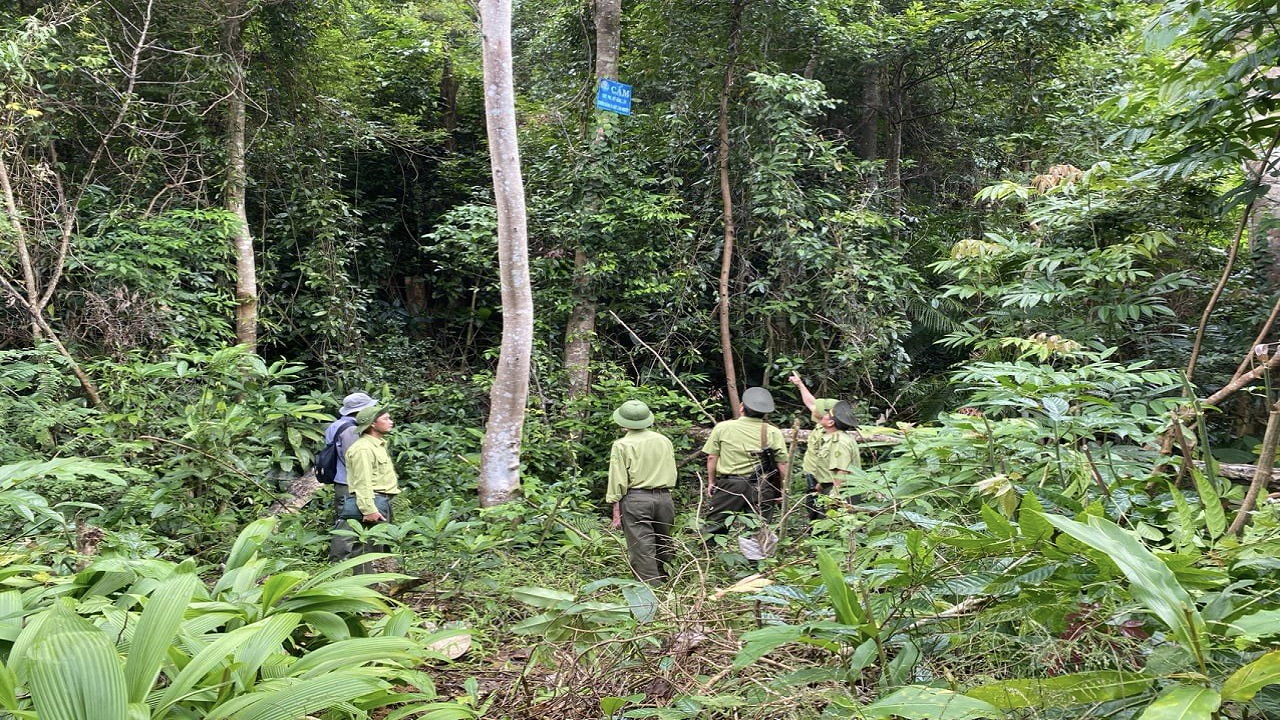 Tỉnh Đắk Lắk thông qua Nghị quyết về chủ trương đầu tư Dự án “Giảm thiểu khí thải tại khu vực Tây Nguyên và Duyên hải Nam Trung Bộ Việt Nam nhằm góp phần thực hiện các mục tiêu Chương trình hành động quốc gia REDD+