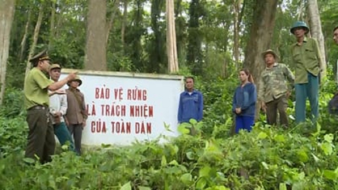 Nâng mức hỗ trợ, khoán bảo vệ rừng bình quân hàng năm lên 500.000 đồng/ha
