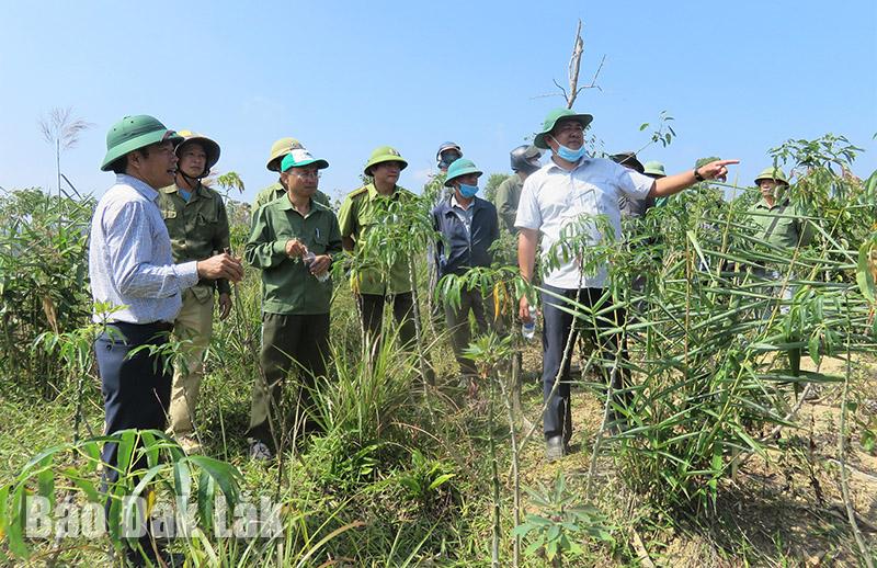 kt_tai_cuelang_2_20240418201554