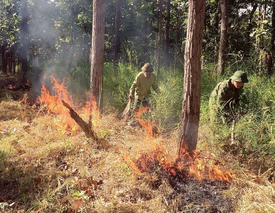 z316570615461579a1f6cd39c867dae65c0aa510d93aec