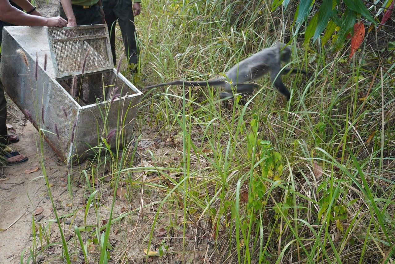 z5107006081990_d9f03cc43014a7d220dfaf9e7ea834ce