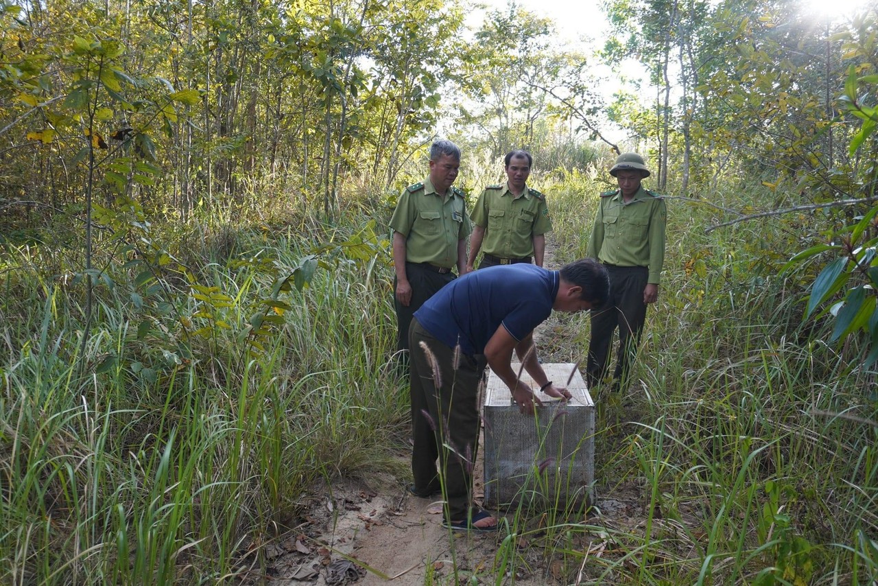 Người dân giao nộp động vật rừng nguy cấp, quý, hiếm góp phần bảo vệ động vật hoang dã, bảo tồn đa dạng sinh học và hệ sinh thái tự nhiên.