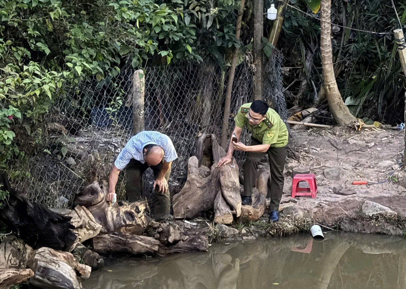 z5965085256777_1edafc015b37a233654af6394d9cbd93