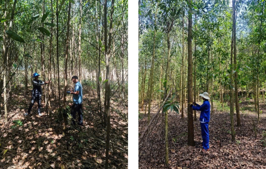 z6067238601624_d55650fd7483a18fecdc4cb761d5141b