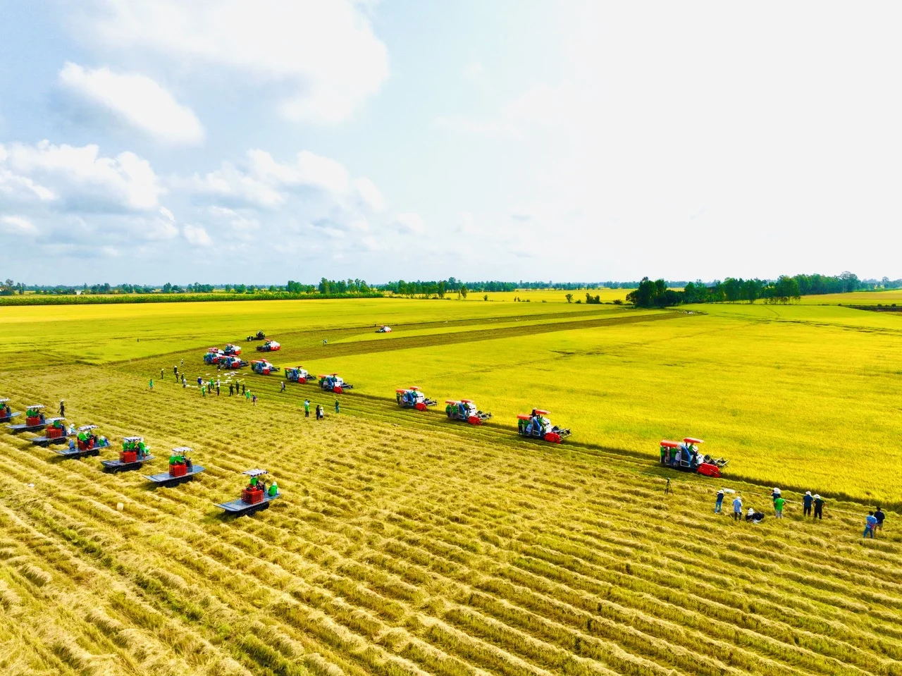 bo-nong-nghiep-va-moi-truong-dat-muc-tieu-xuat-khau-65-ty-usd-152837_153