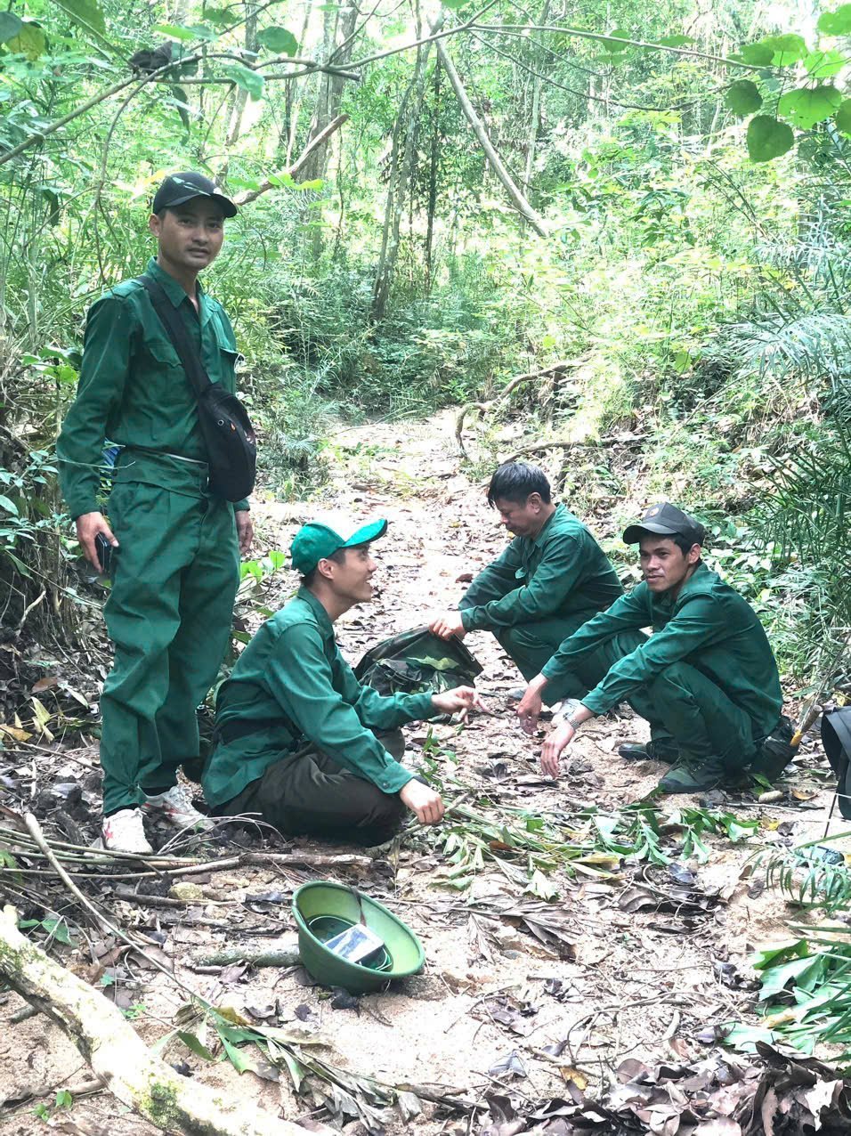 es1-182356_297-050526