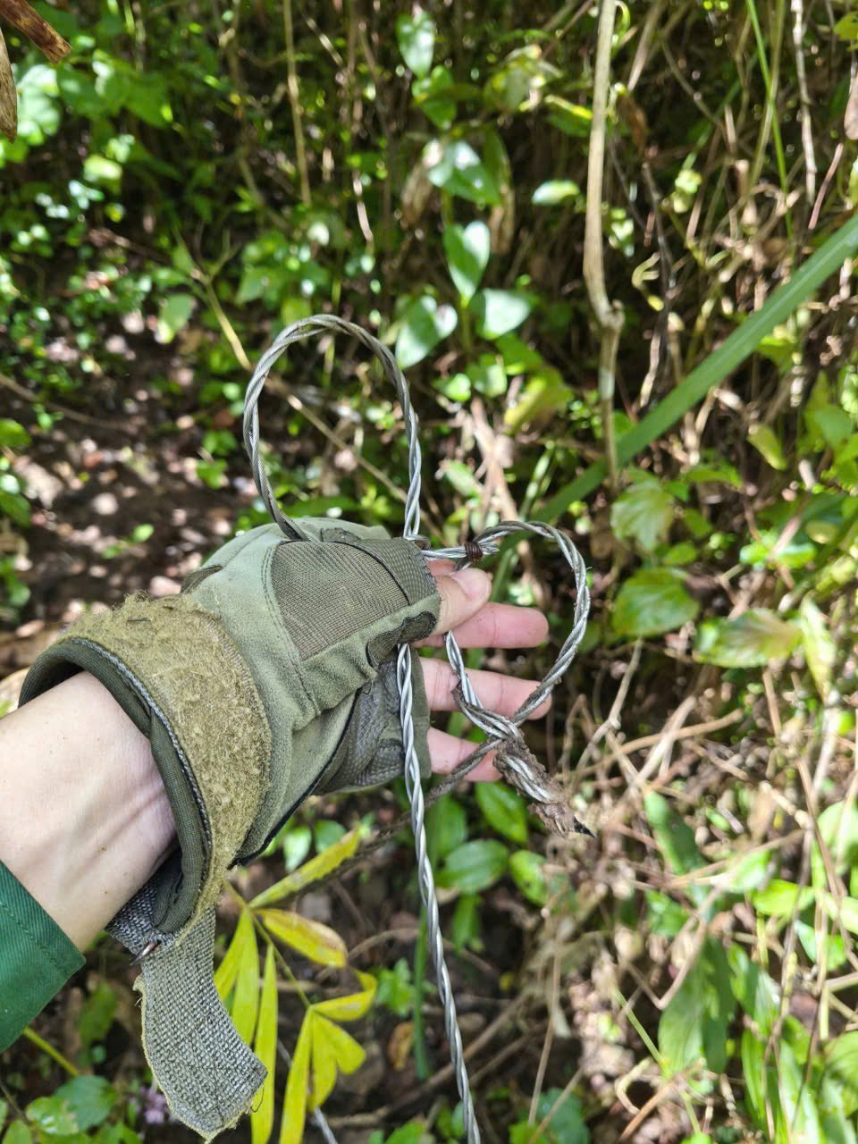 es2-181929_612-050526