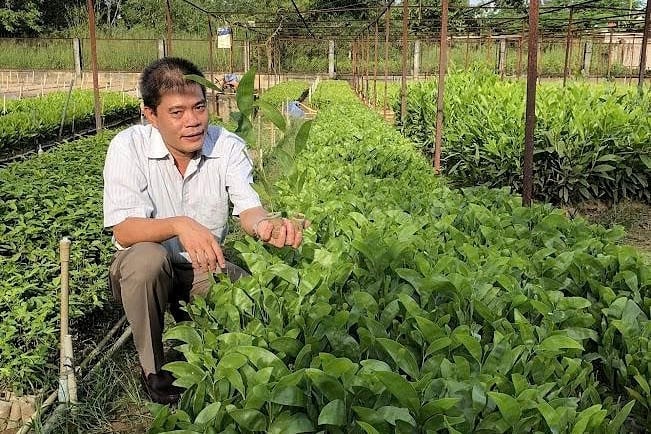 khi-khoa-hoc-cong-nghe-dan-loi-cho-lam-nghiep-vuon-xa-164917_460-192631