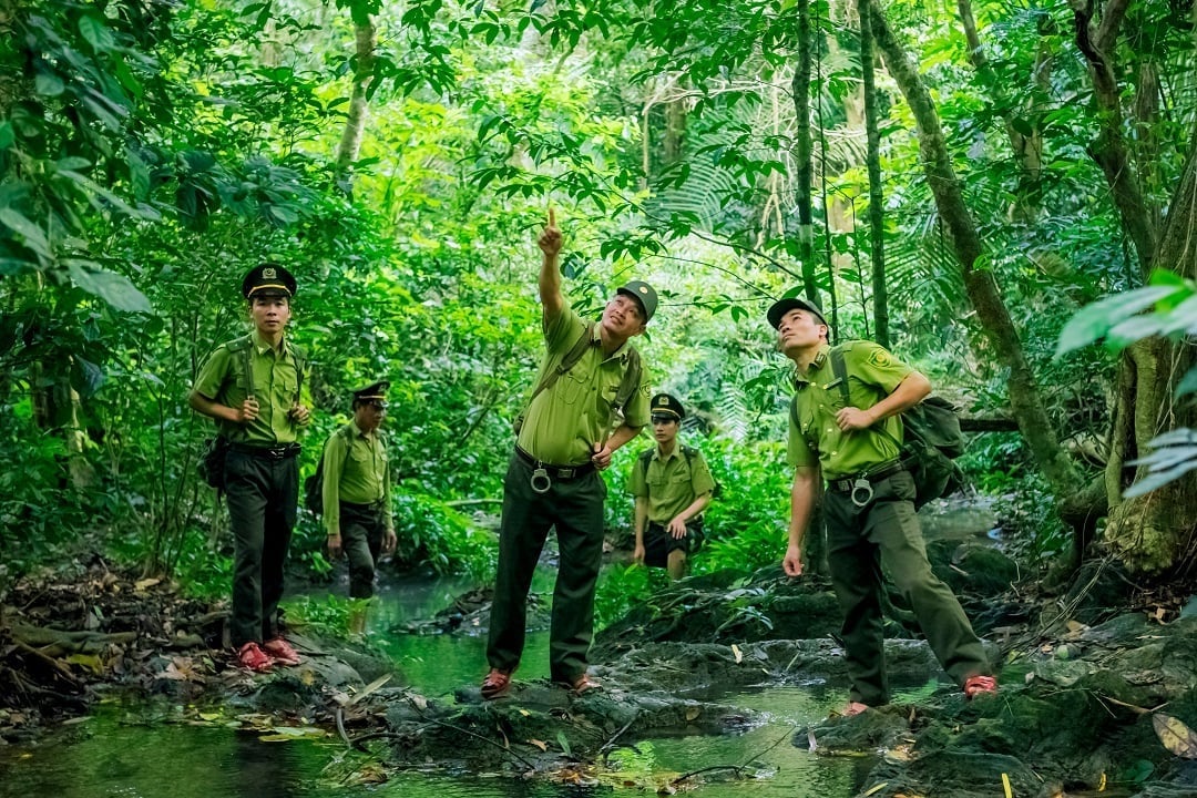 CHI CỤC KIỂM LÂM HƯỚNG TỚI NỀN HÀNH CHÍNH CÔNG HIỆN ĐẠI, MINH BẠCH