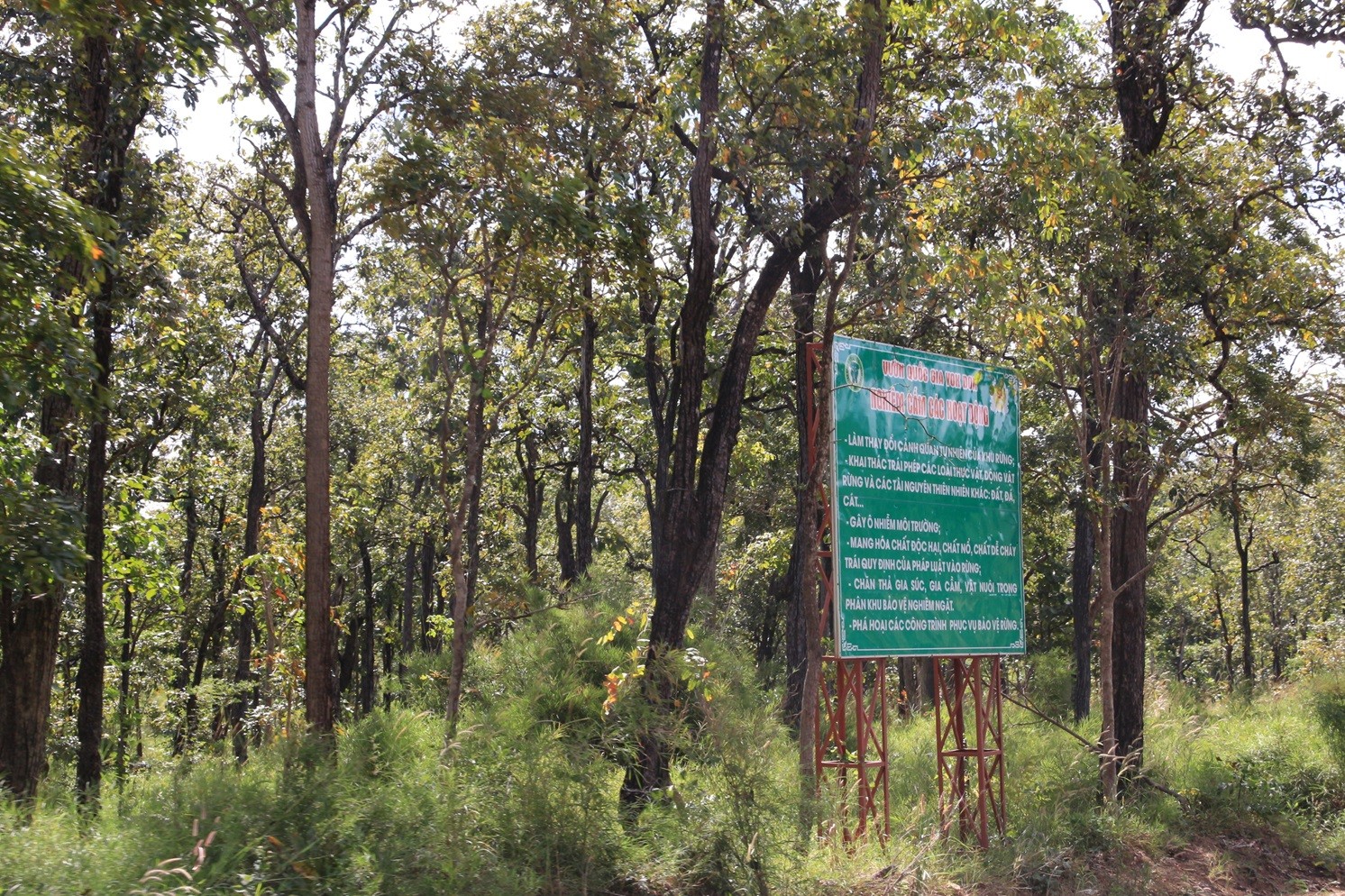 Phía sau những cánh rừng: Gian nan bài toán giữ chân người giữ rừng (Bài 4)