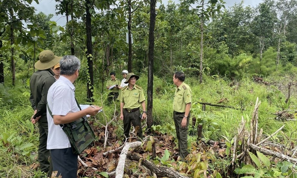 Phía sau những cánh rừng: Giữ rừng "vàng" cho mai sau (Bài Cuối)